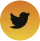twitter icon